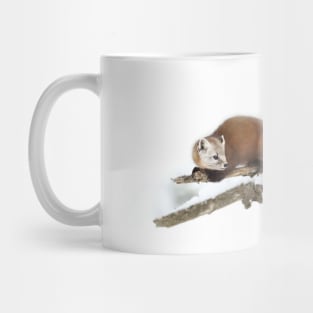 Pine Marten - Algonquin Park Mug